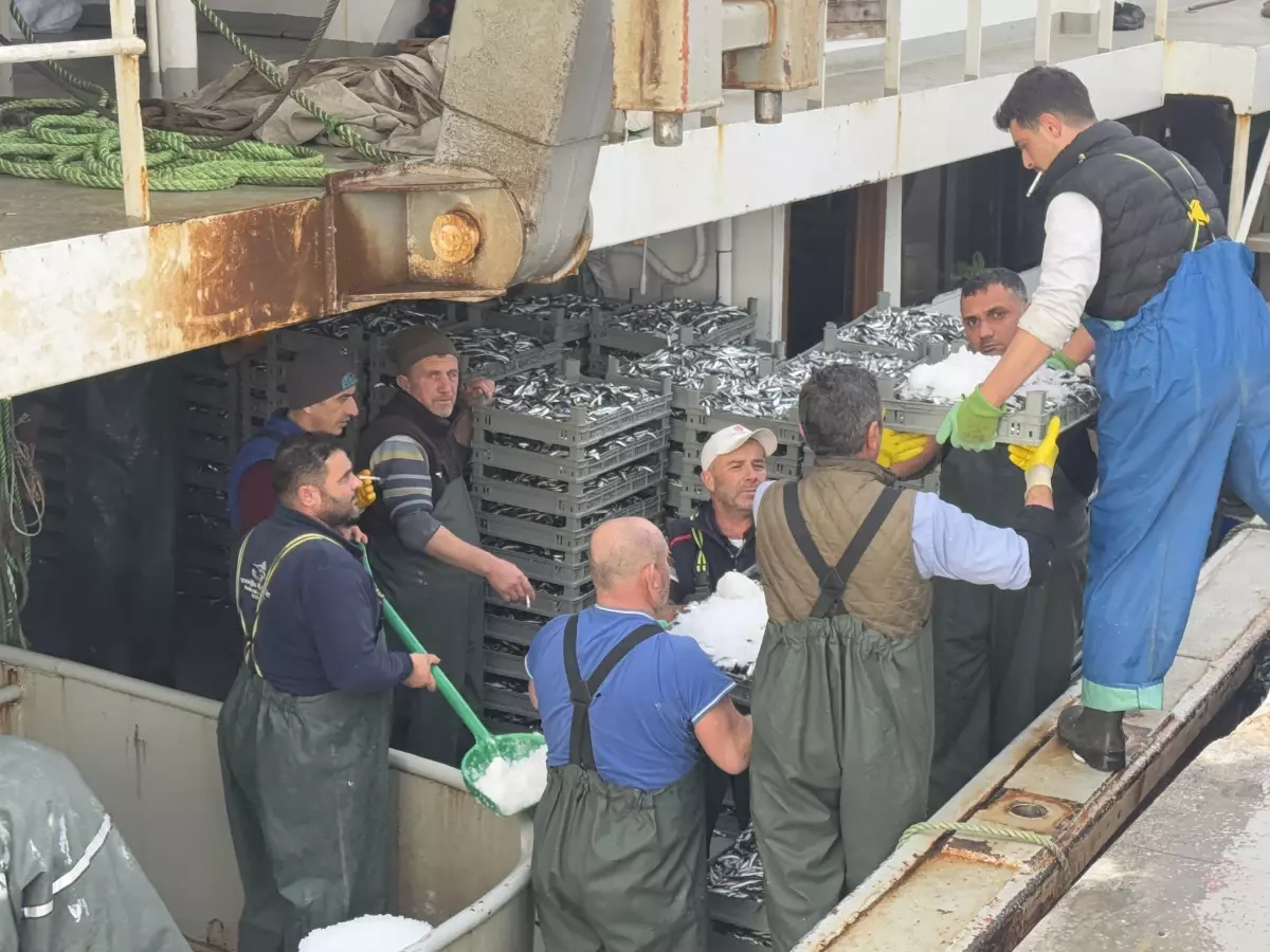 Erdek’te Balıkçılar Hamsi ile Dolu Geri Döndü